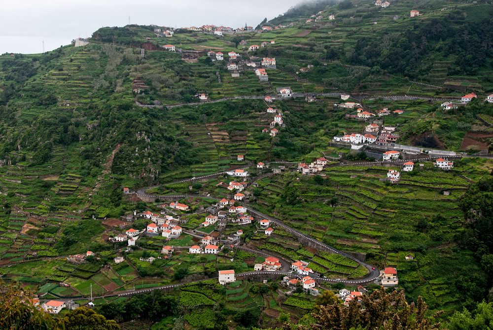 229_Madera_widok na Ribeira da Janela.jpg